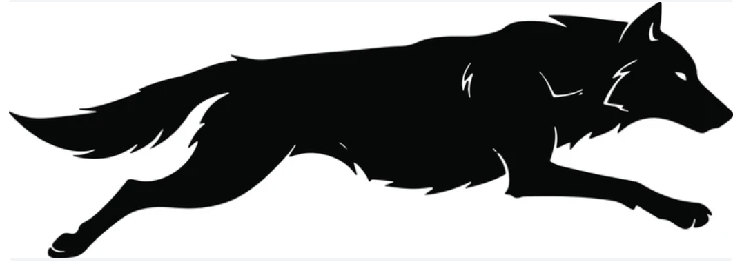 Logo camiseta WolfBox